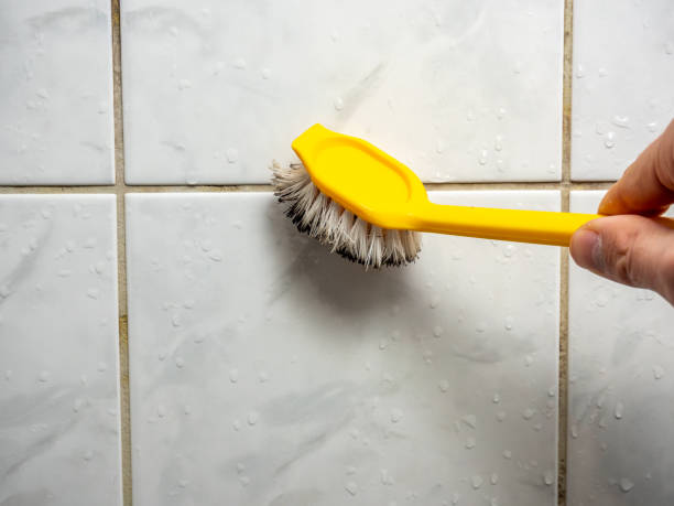 Best Water Damage Restoration  in North Utica, IL