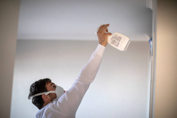 Best Mold Damage Repair  in North Utica, IL
