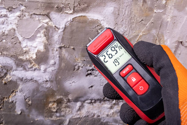 Best Affordable Mold Removal  in North Utica, IL